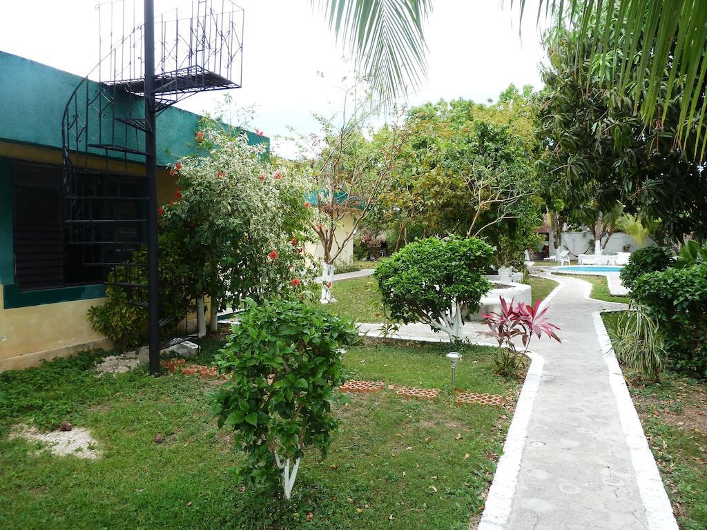 Amigos Hostel كوزوميل المظهر الخارجي الصورة