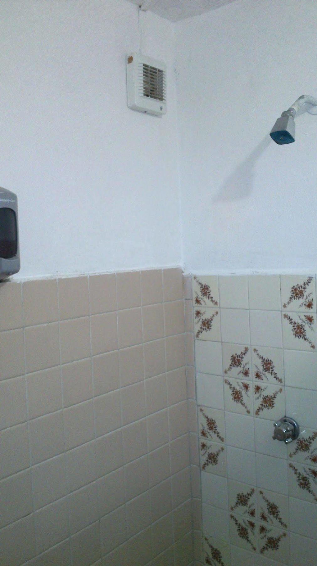 Amigos Hostel كوزوميل المظهر الخارجي الصورة