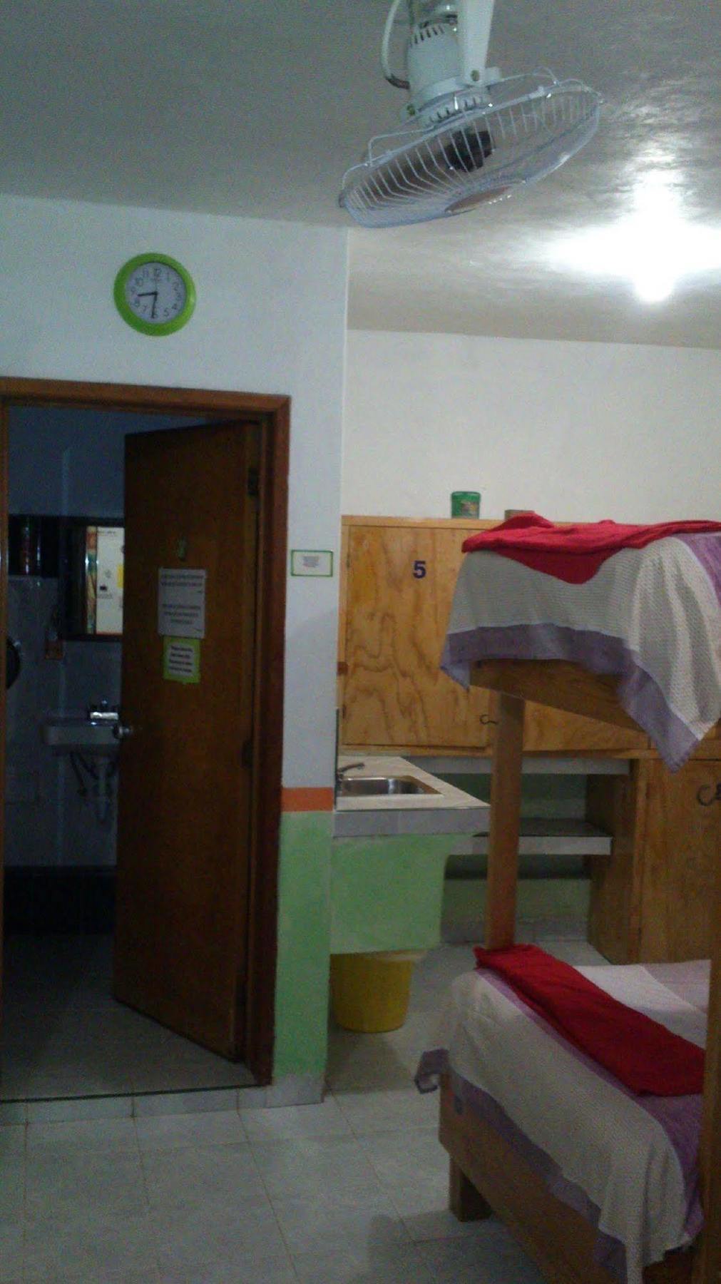 Amigos Hostel كوزوميل المظهر الخارجي الصورة
