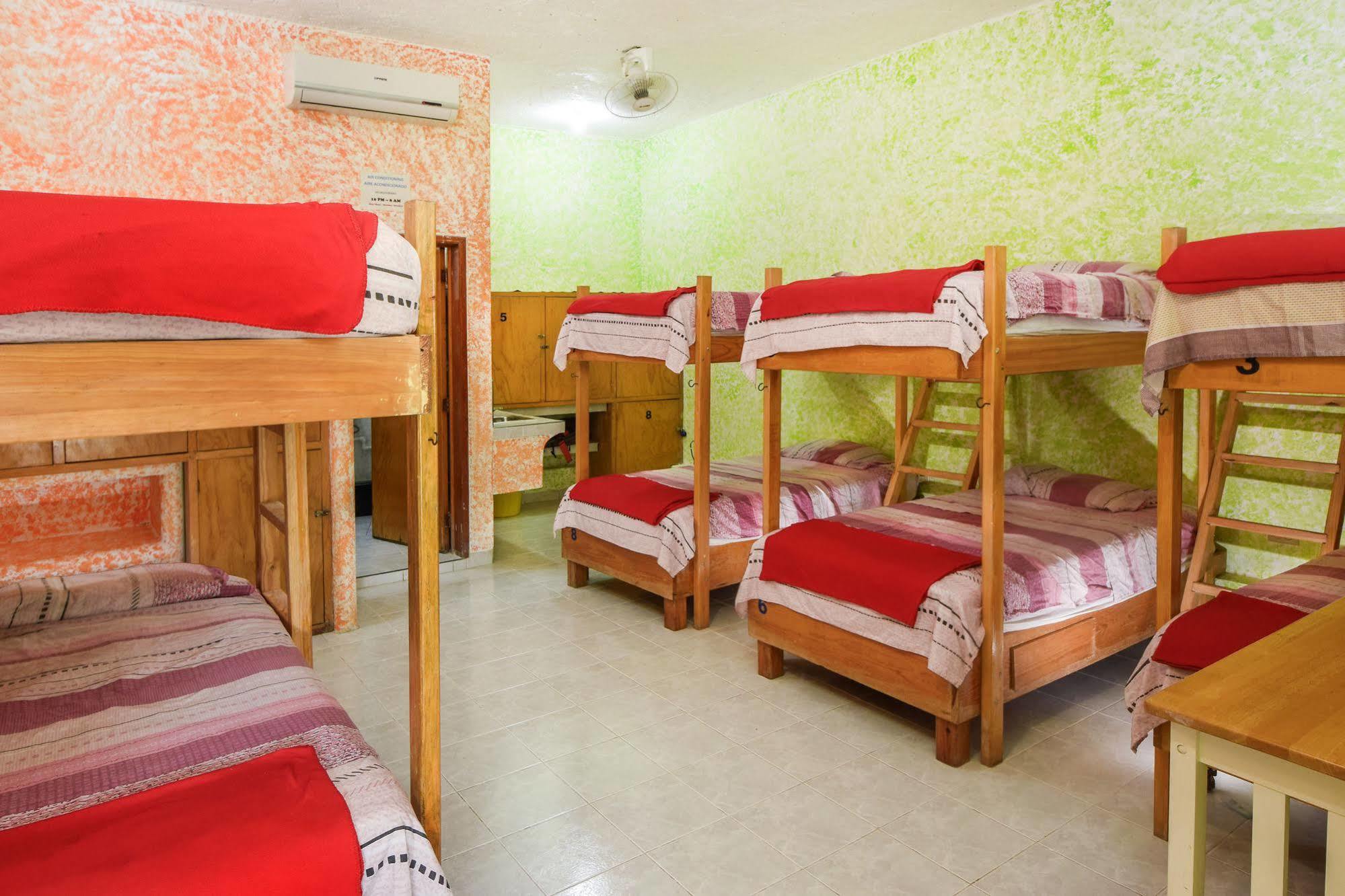 Amigos Hostel كوزوميل أسرّة بيت الشباب الصورة
