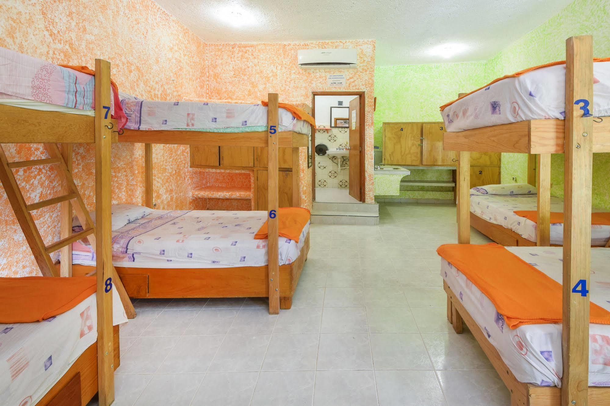 Amigos Hostel كوزوميل المظهر الخارجي الصورة