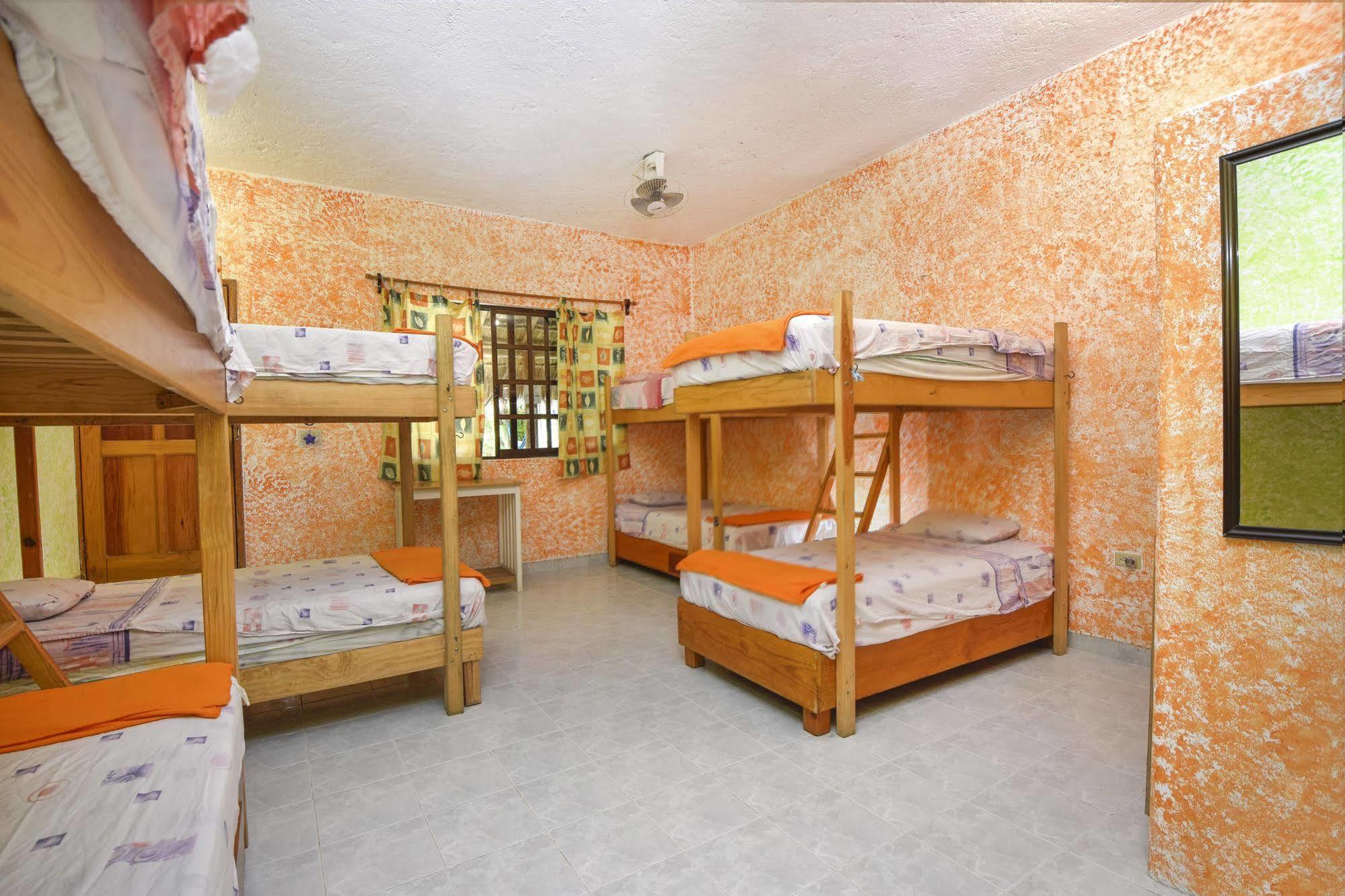 Amigos Hostel كوزوميل المظهر الخارجي الصورة
