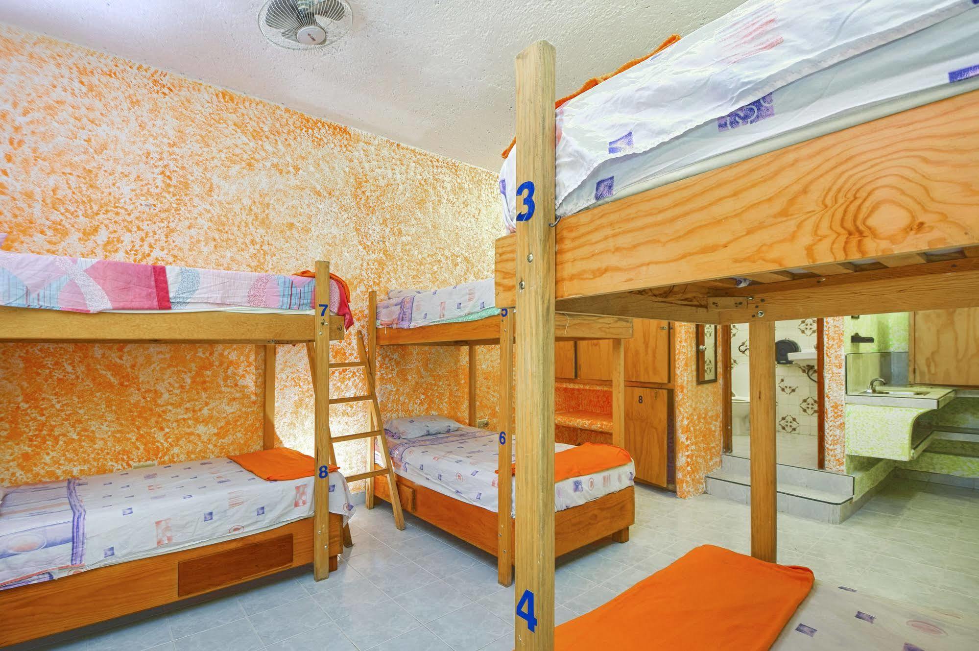 Amigos Hostel كوزوميل المظهر الخارجي الصورة