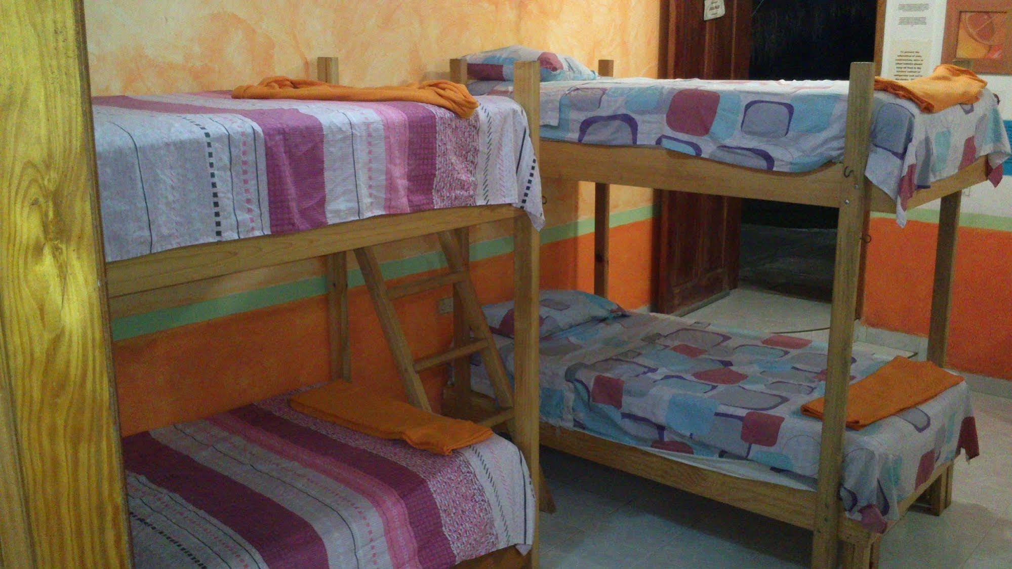 Amigos Hostel كوزوميل المظهر الخارجي الصورة