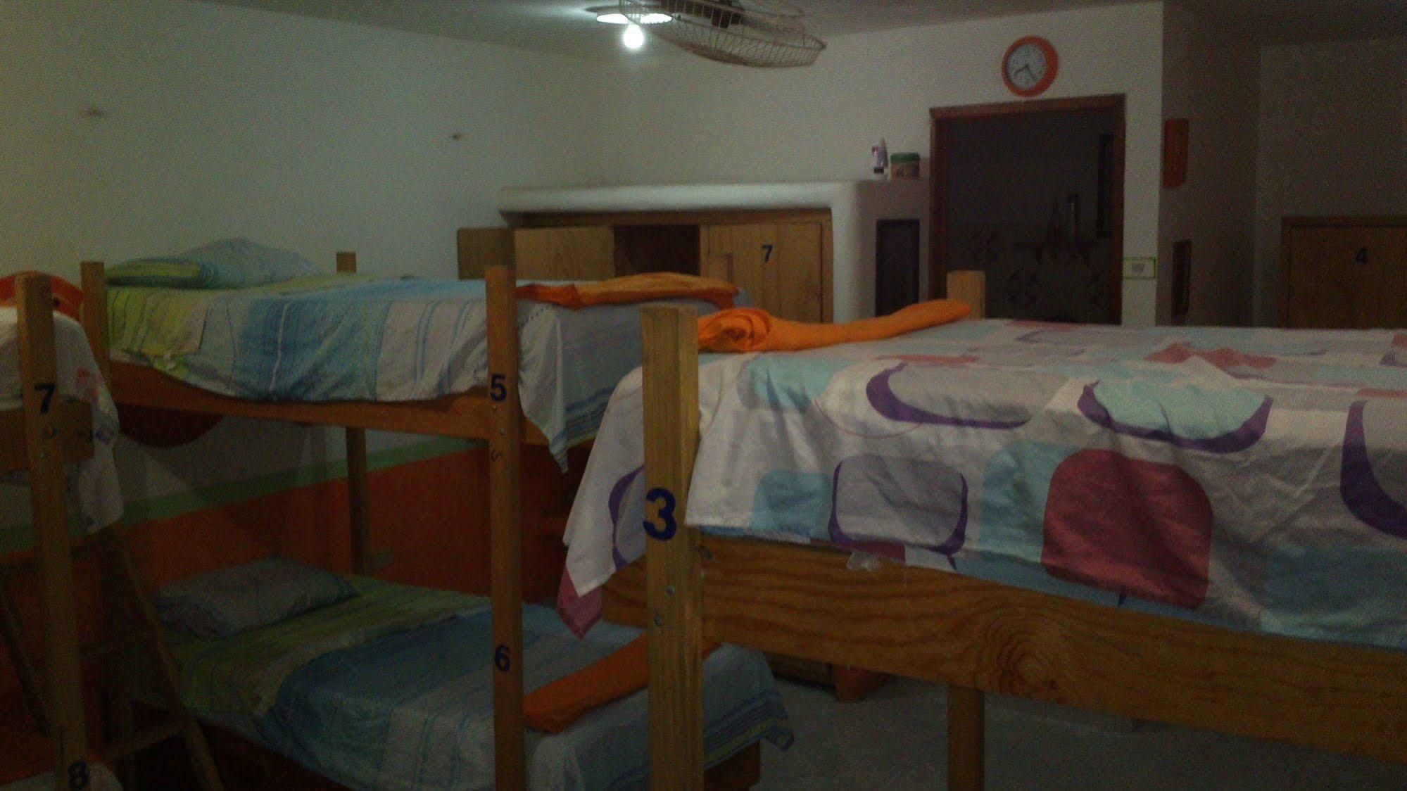 Amigos Hostel كوزوميل المظهر الخارجي الصورة