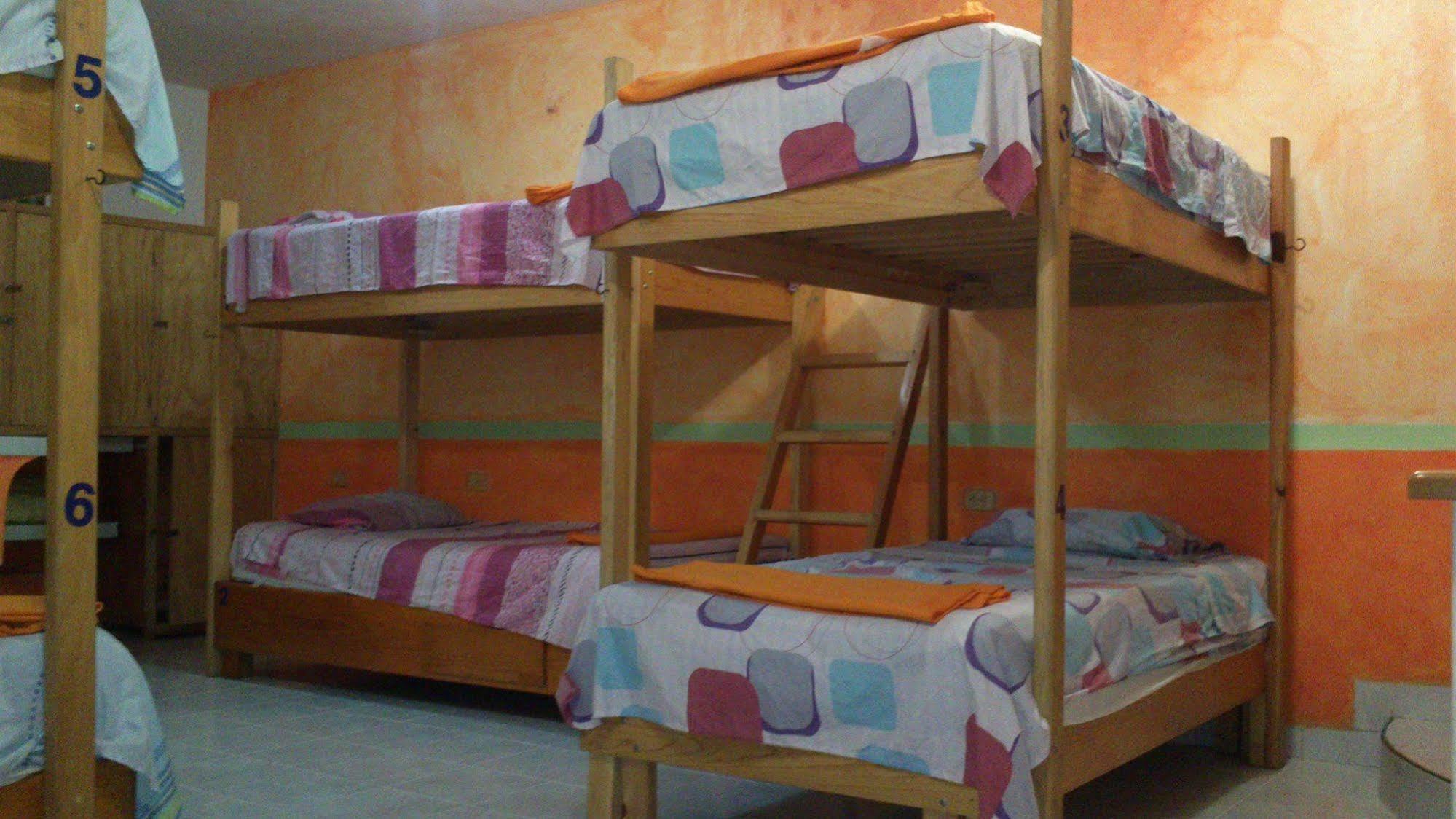 Amigos Hostel كوزوميل المظهر الخارجي الصورة