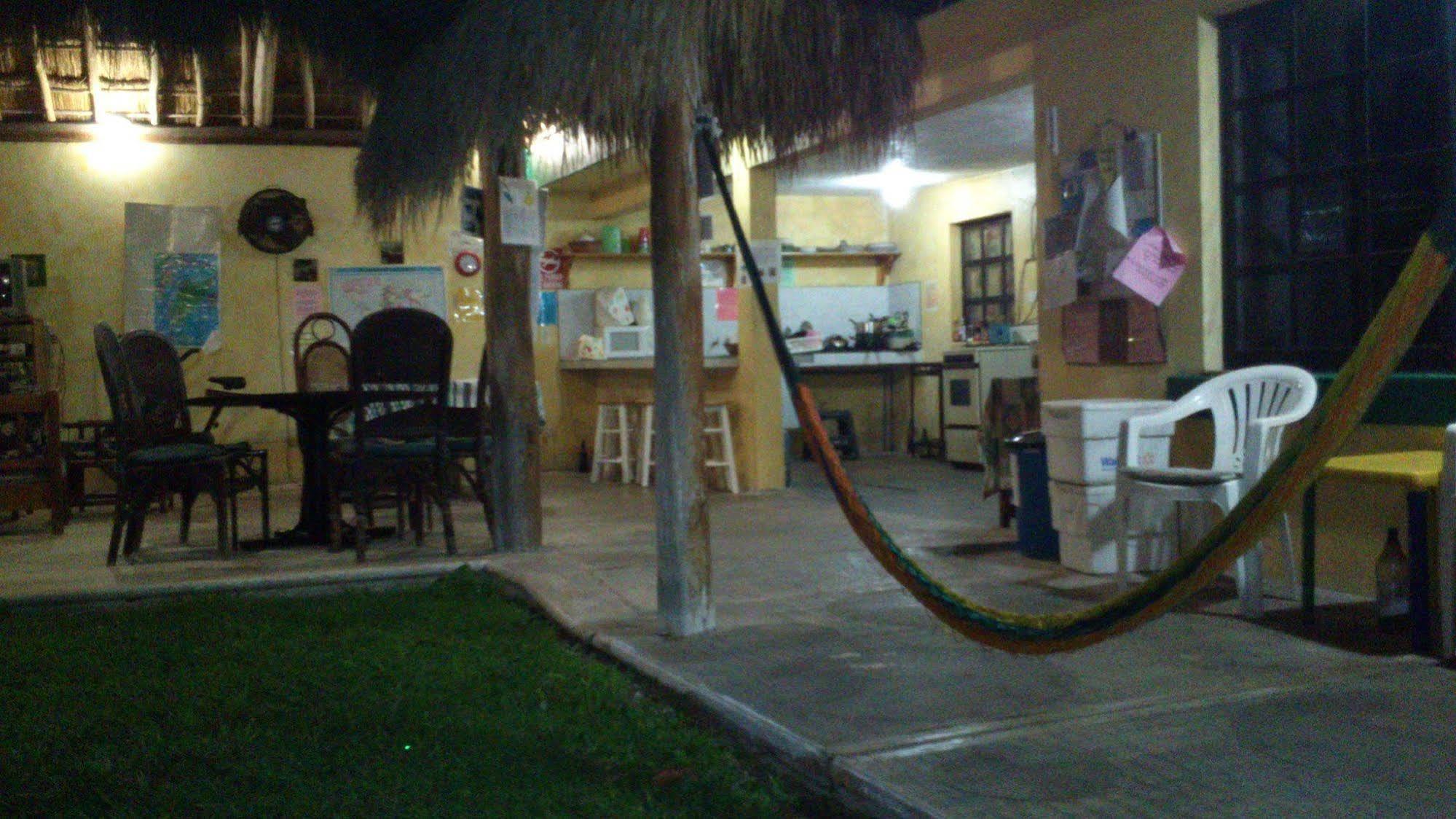Amigos Hostel كوزوميل المظهر الخارجي الصورة